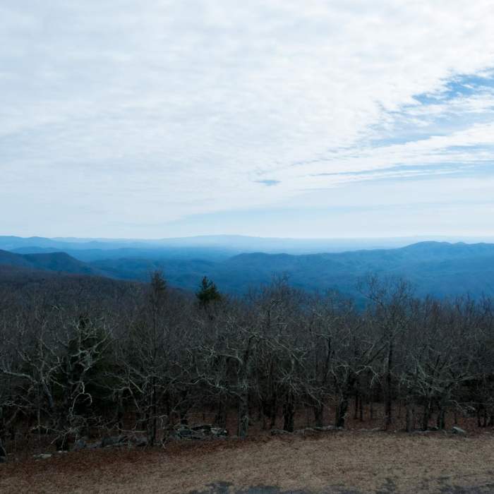 Near Grassy Mountain Loop via Emery Creek