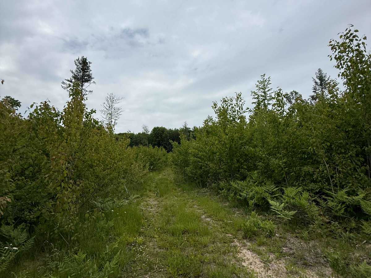 Lackey Trail South photo 3