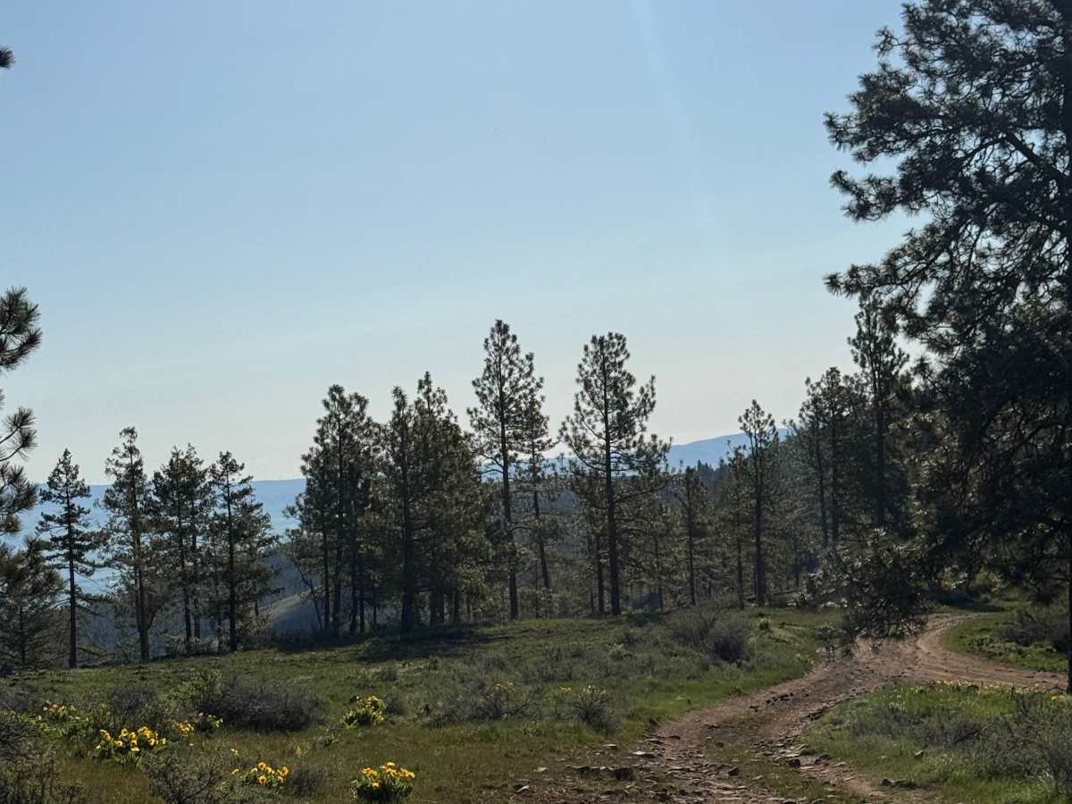 Observatory Loop trail photo