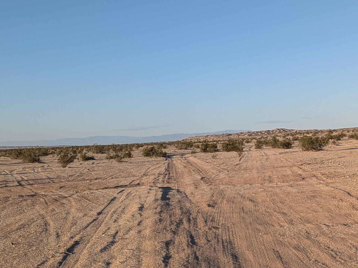 BLM 195 photo 3