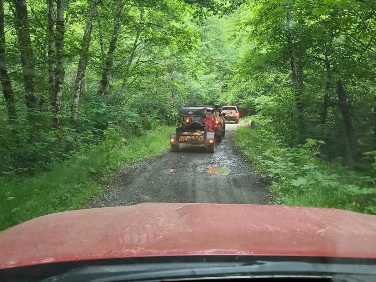 Cook Creek Road trail photo