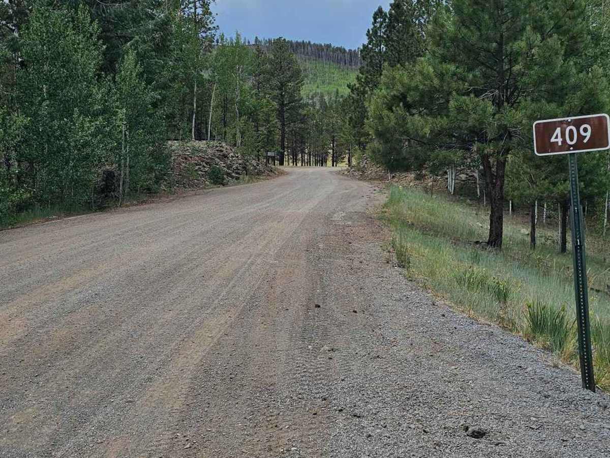 FS 409 trail photo