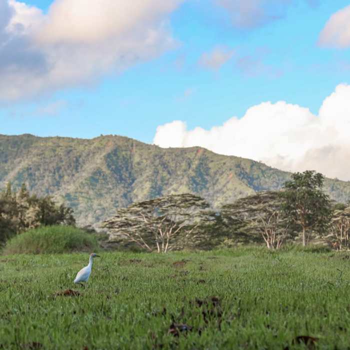 Near Stone Dam via Wai Koa Trail