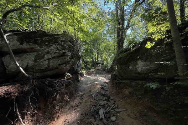 Long Haul Hollow Trail 31 