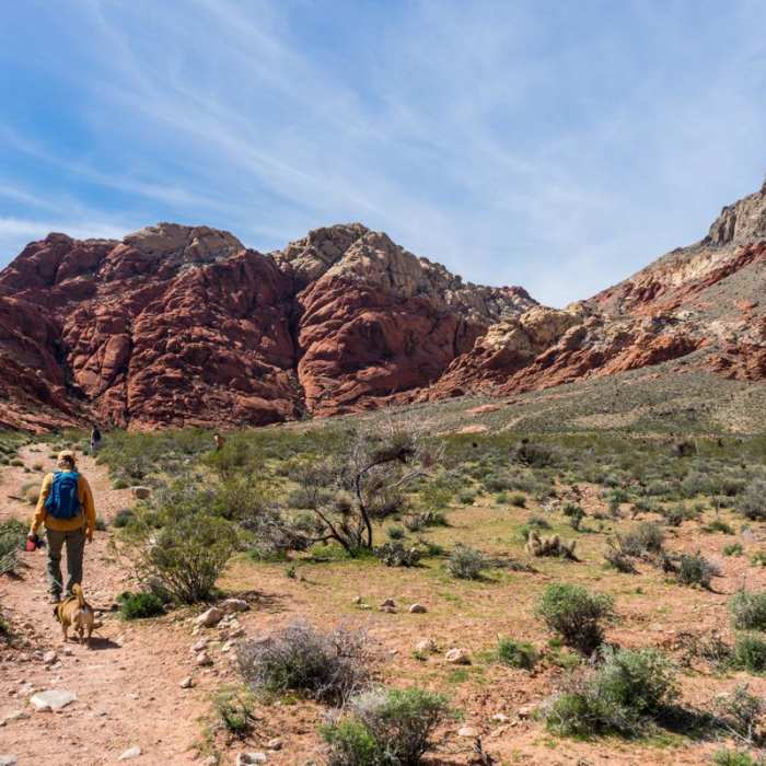 Near Kraft Mountain Loop Hike
