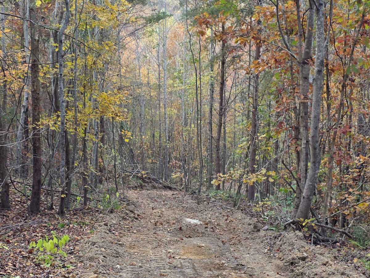 Hardwood Hollow Bypass trail photo