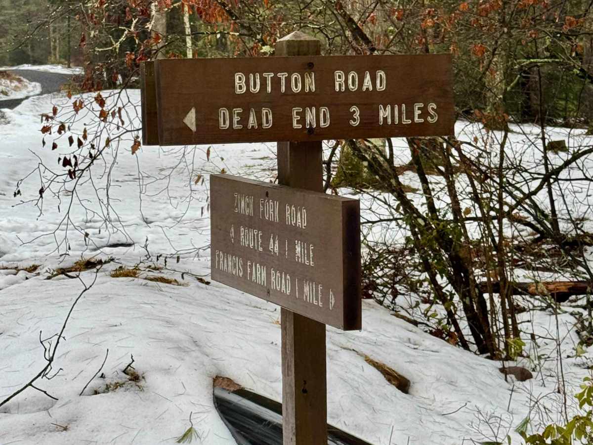 Button Road trail photo