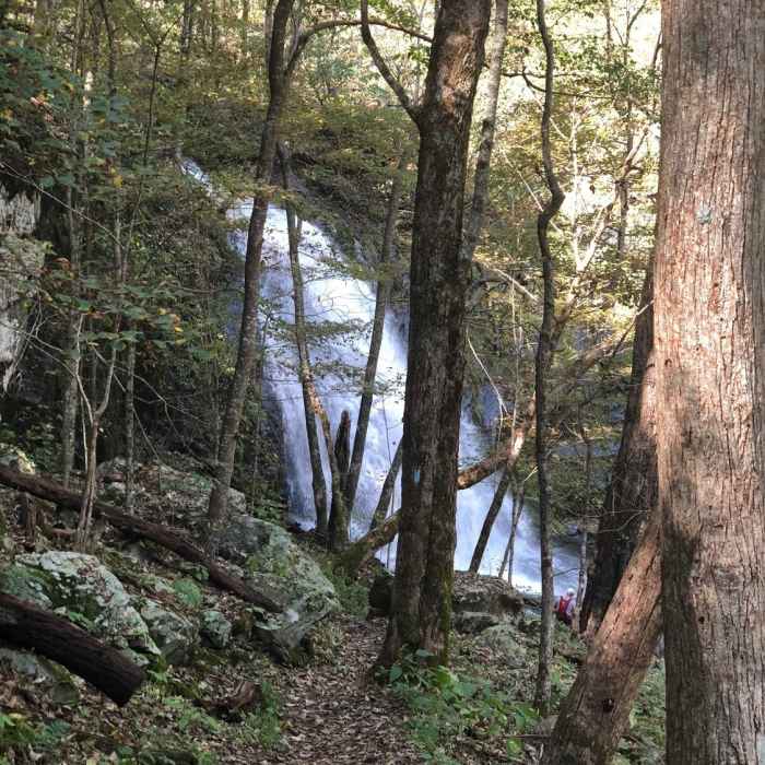 Near Jones Run Trail