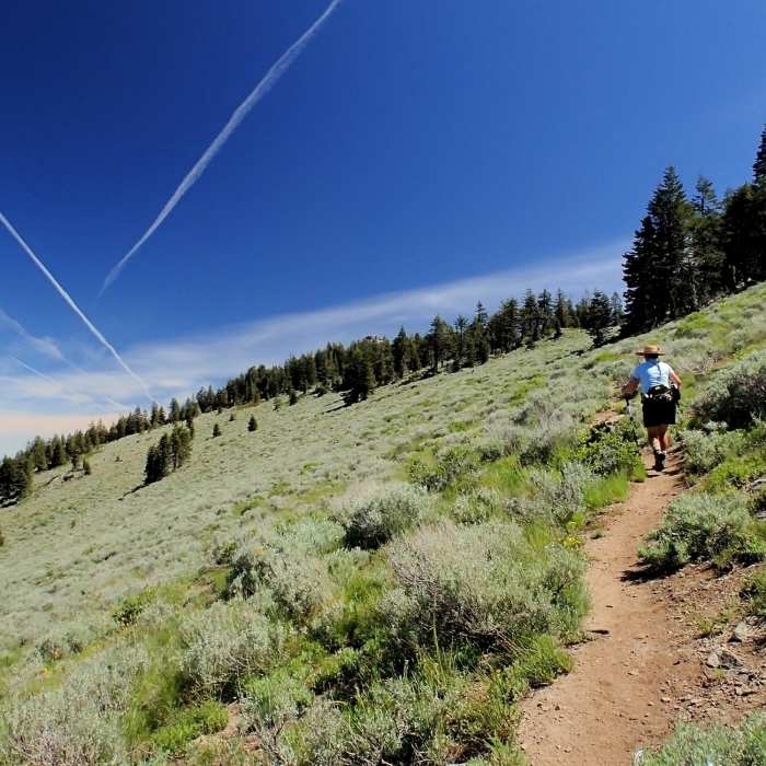 Near Wagner Butte Trail #1011