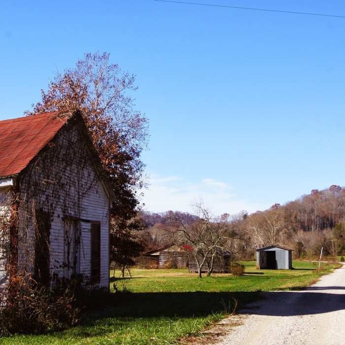 Near Dawkins Line Rail Trail