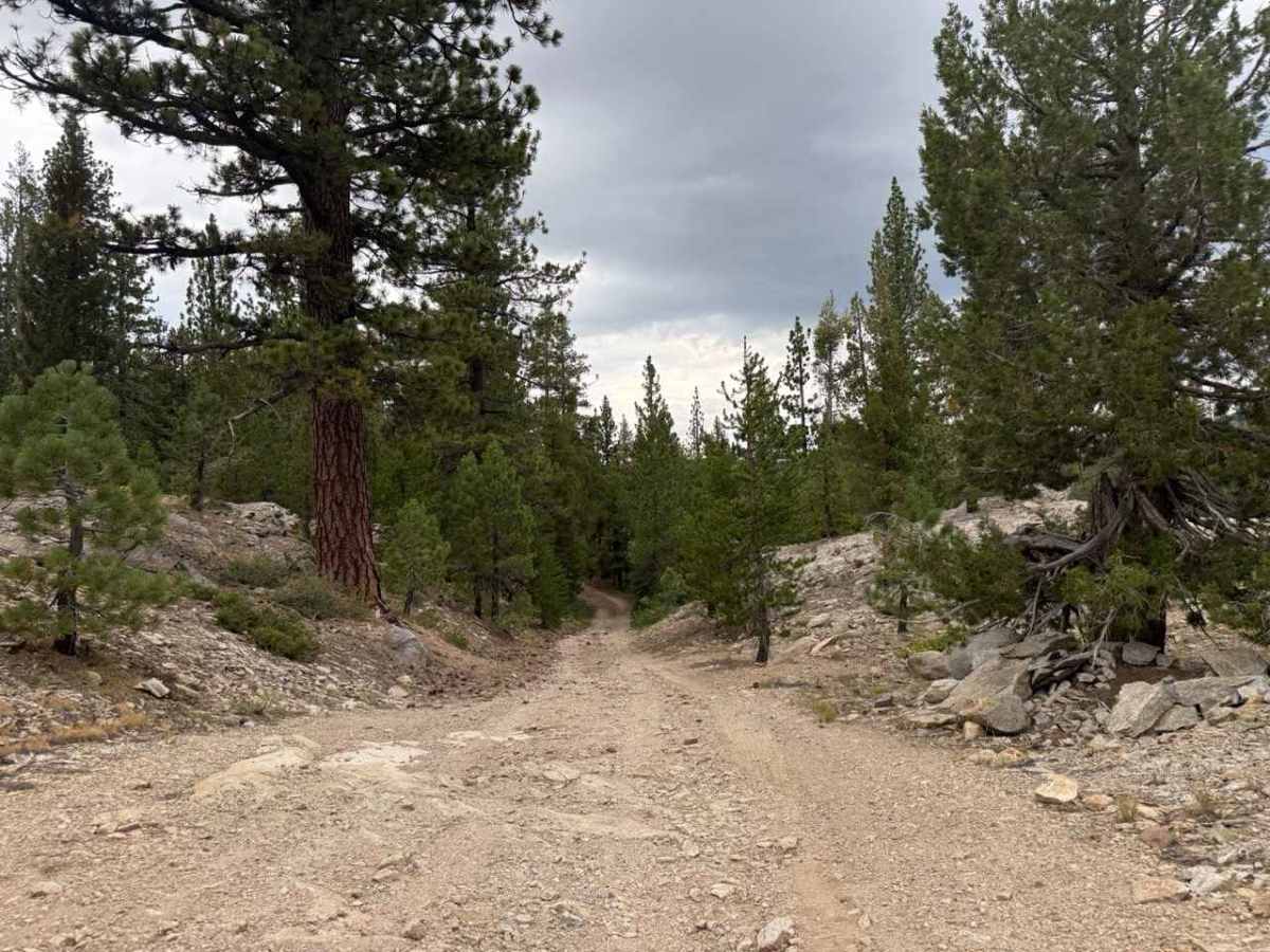Hope Valley Campground North - FS 31081 photo 3