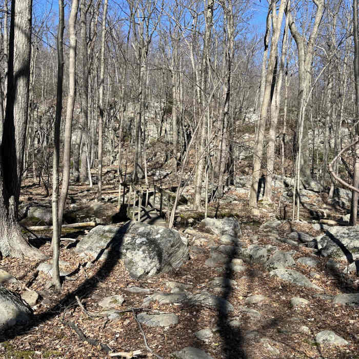Near Silas Condict Loop Near Silas Condict Loop