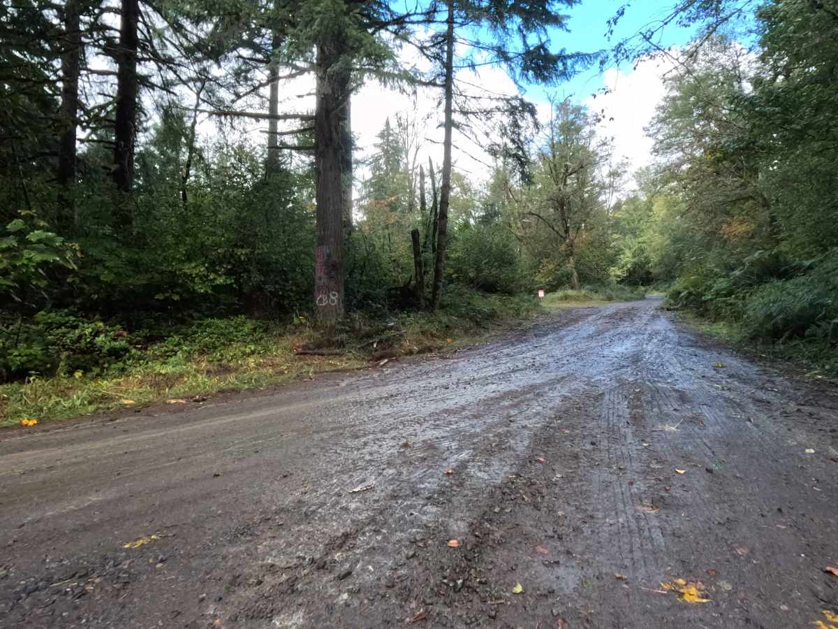 Rock Creek  N-6000 photo 3
