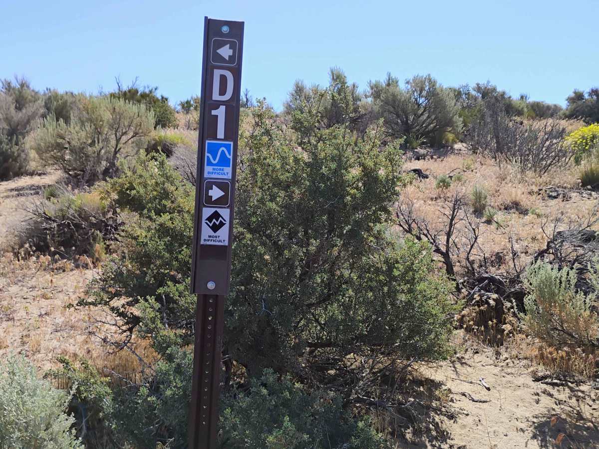 D1 trail photo