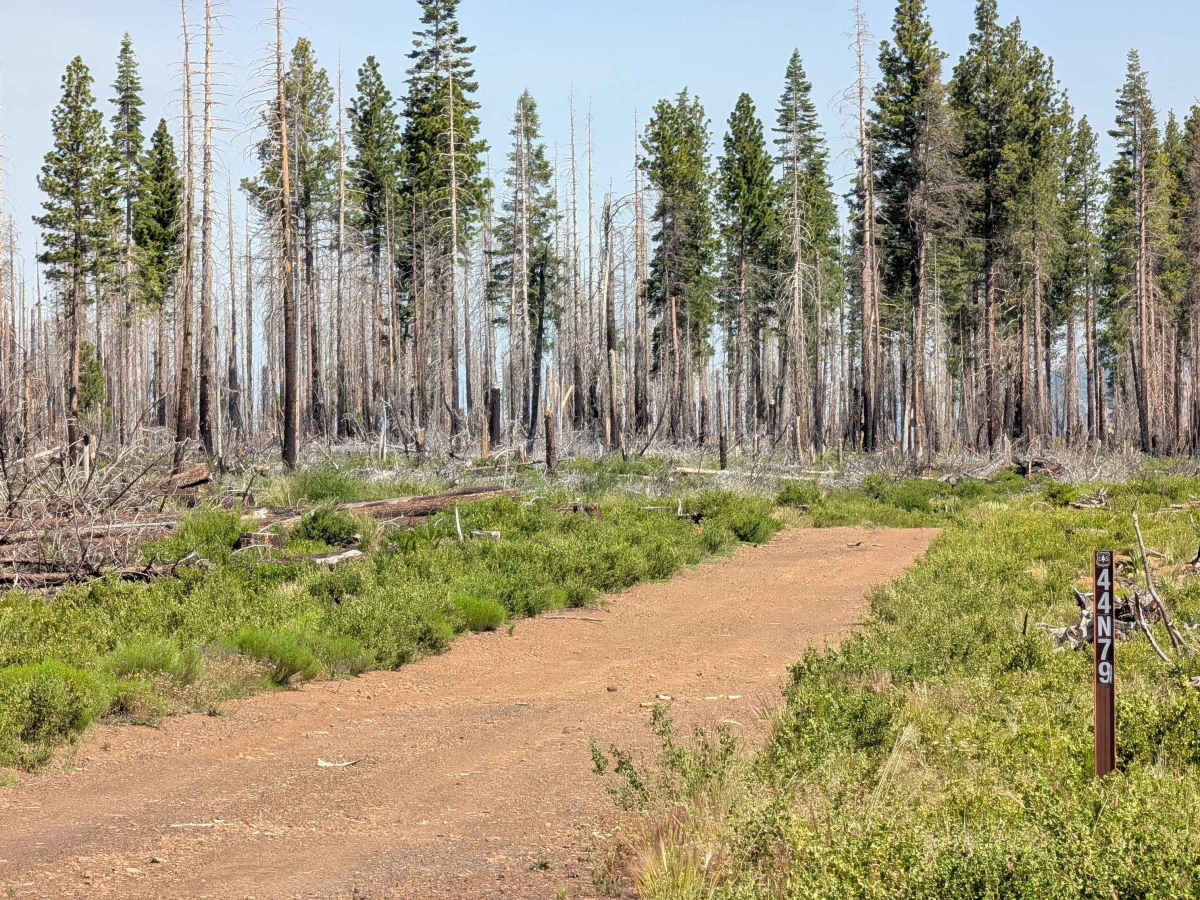 Tamarack Tile - FS 47N49 photo 6