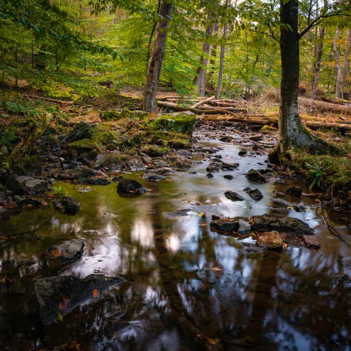 Near Hog Rock Vista Trail
