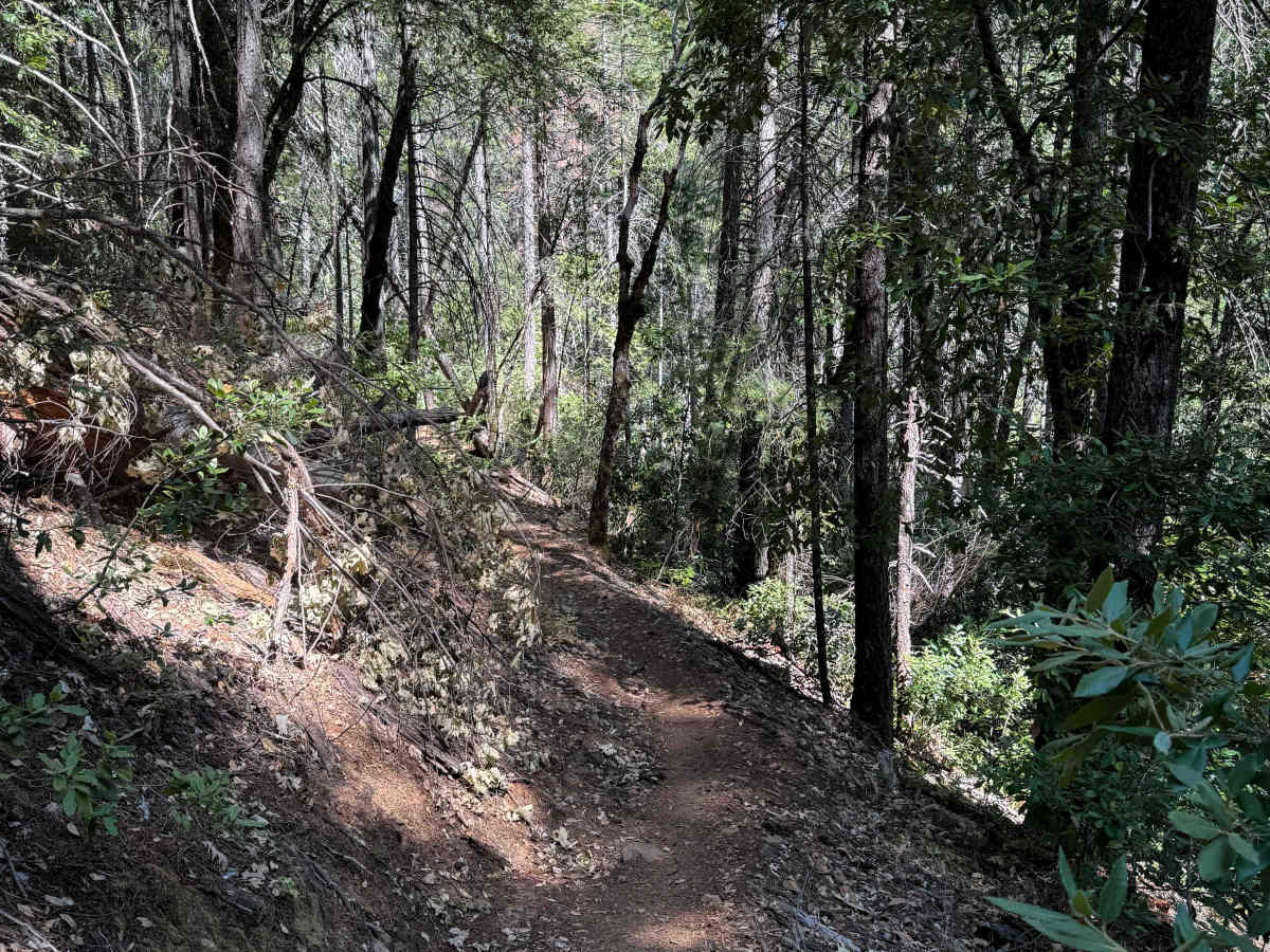 Trail 6 (12E50)   photo 5