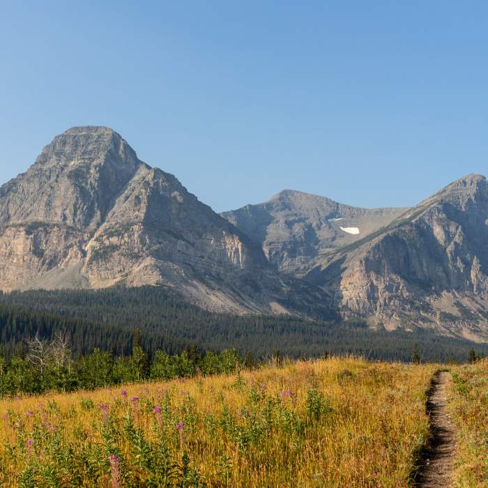 Near Pitamakan Pass Trail