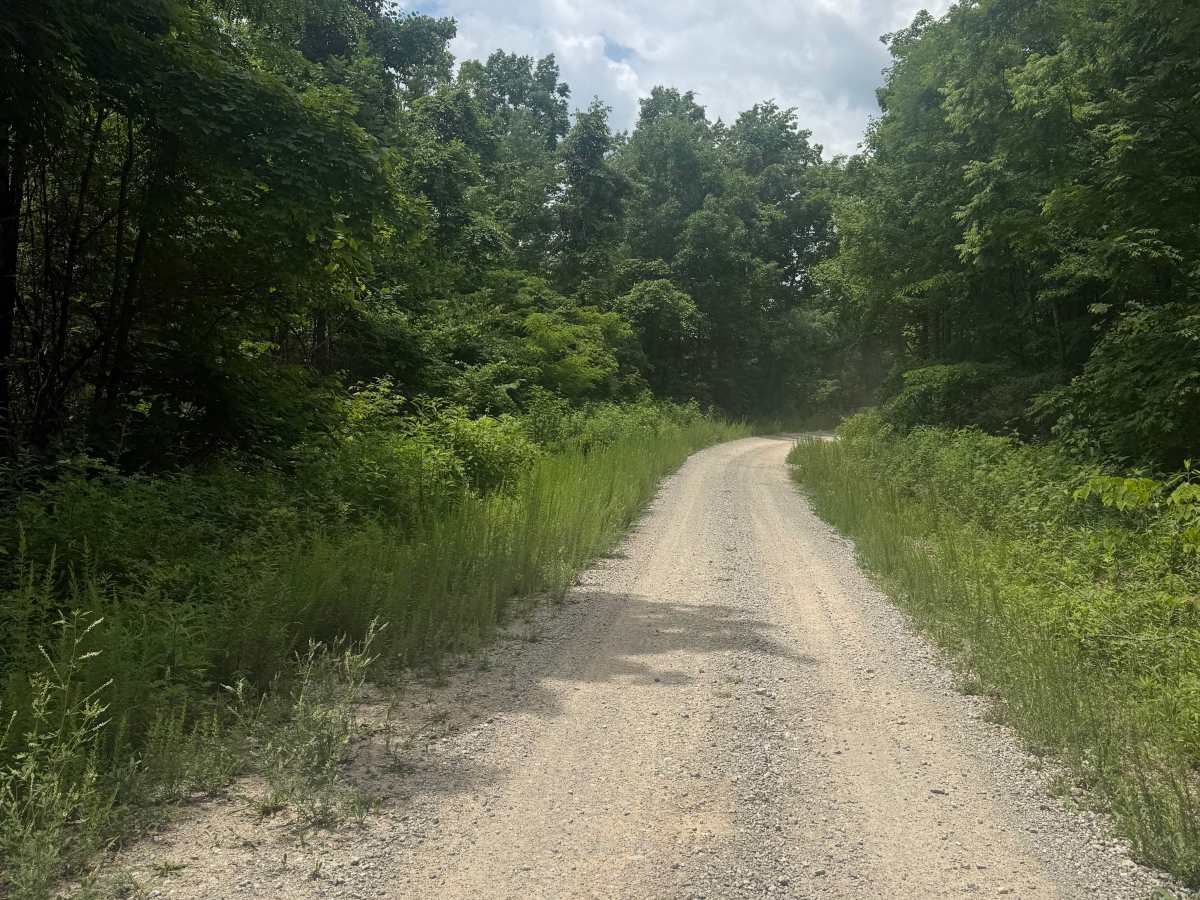 Long Pit Road trail photo