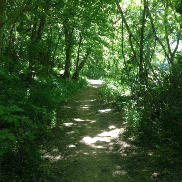 Near Two Bridges