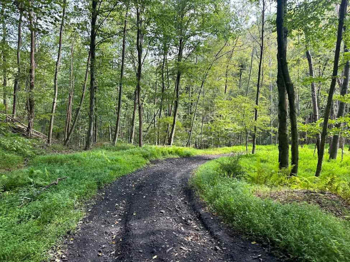 ATV Trail 81 photo 2