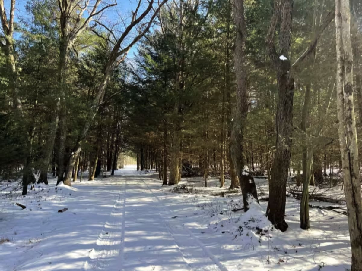 Beaver Meadow Trail photo 6