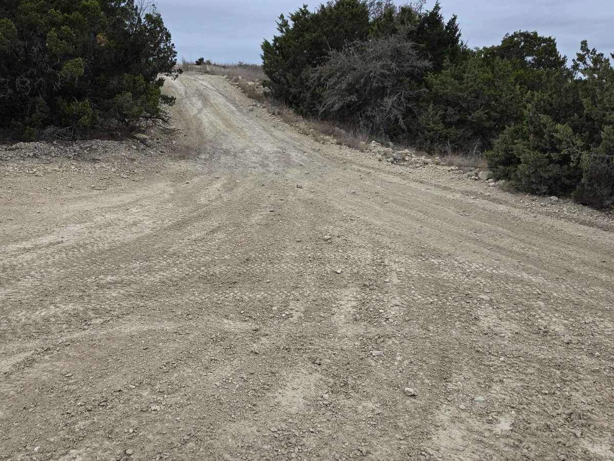 Old Baldy photo 2