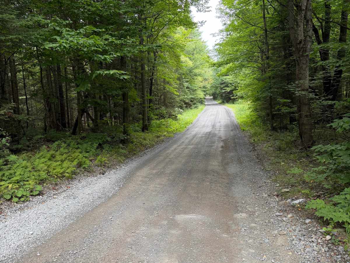 Carey Road photo 4