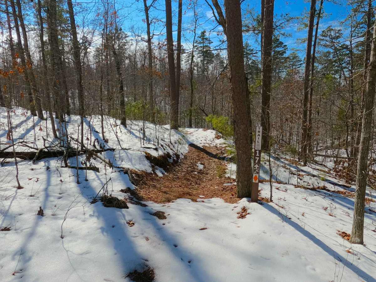 Sutton Bluff ATV 17 - SB 17 trail photo