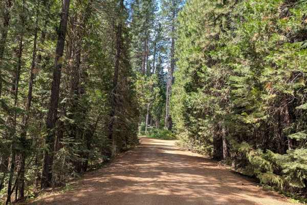 Cow Creek - FS 39N90