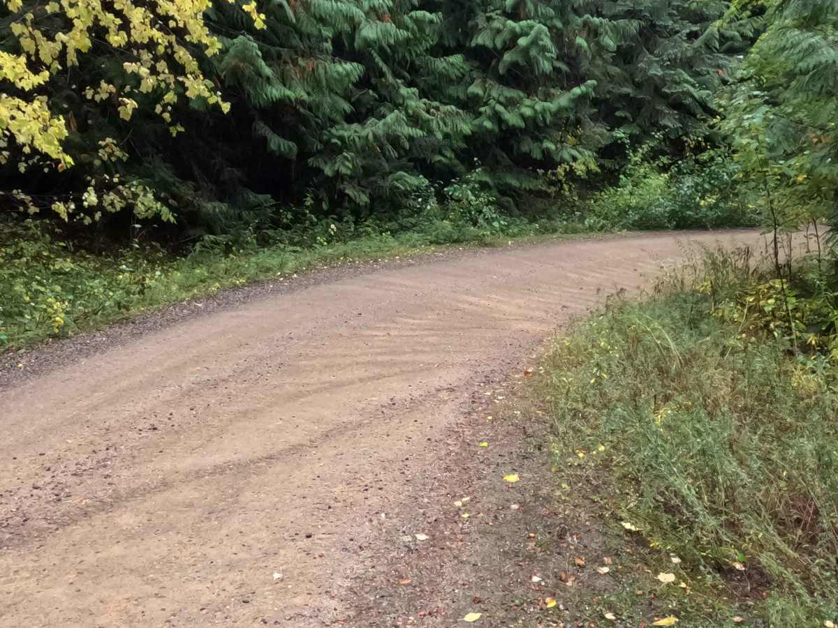 Moose Creek - FS 381  photo 5