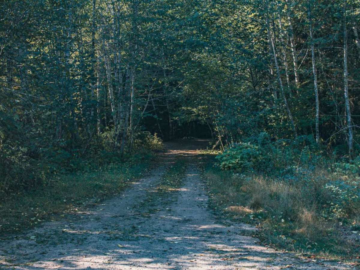 Butter Creek photo 5