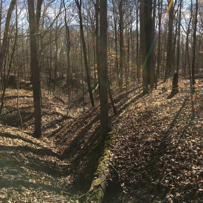 Near Stone Circle Trail