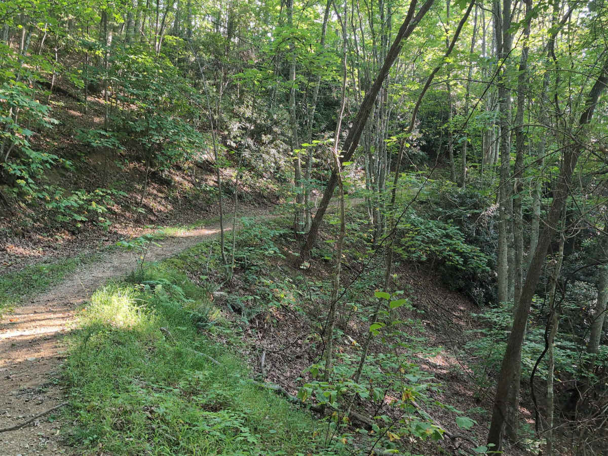 Virginia Highlands Horse Trail photo 5