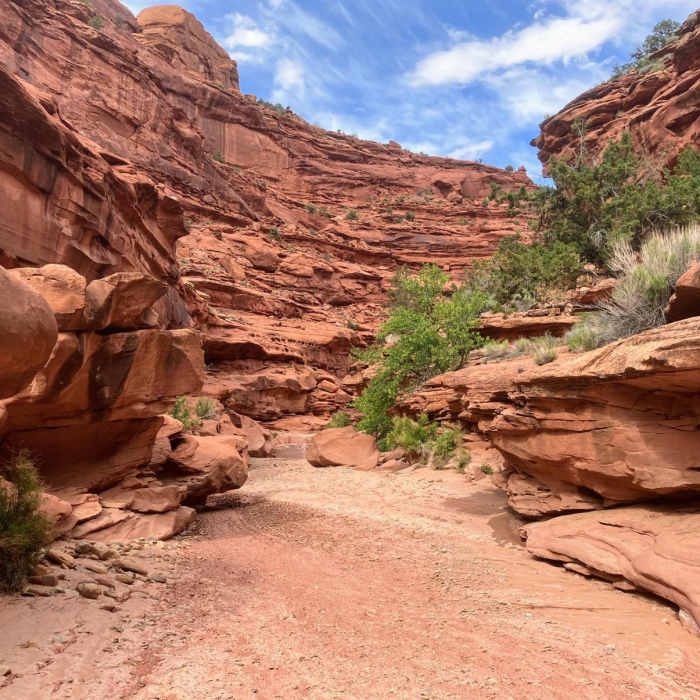 Near Little Death Hollow