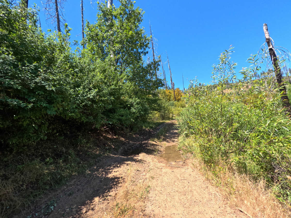 FS 1S60 photo 5