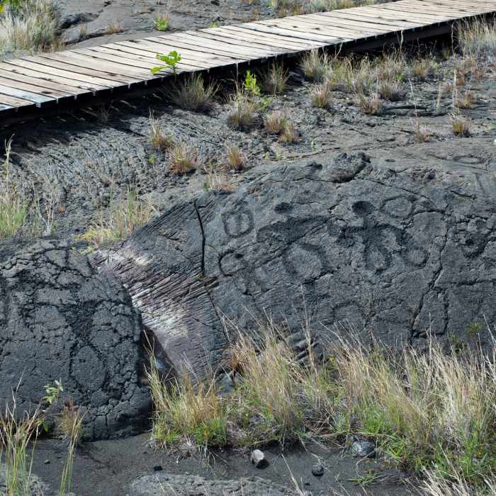 Petroglyphs etched into the lava. Near Pu'u Loa Petroglyphs