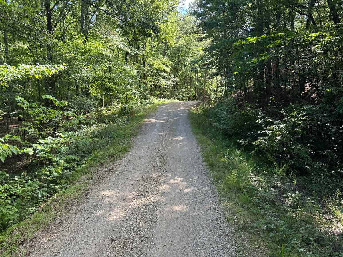 South Fork Road photo 4