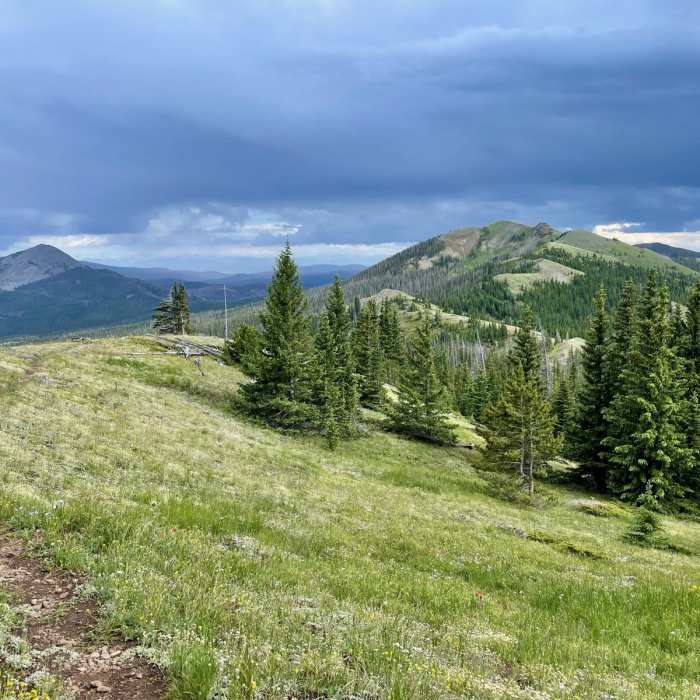 Near Continental Divide Trail: Colorado Section 39