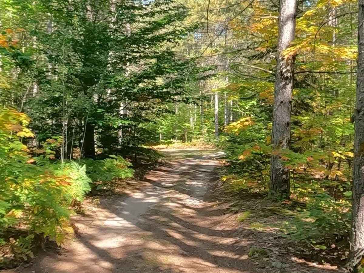 27 Mile Road - FS 3704 photo 5