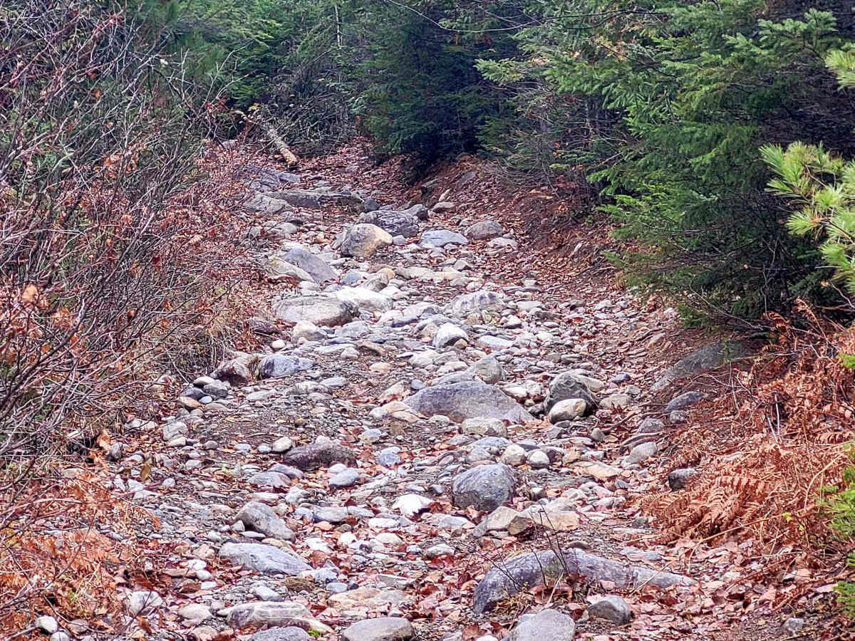 Soft Ouareau photo 2