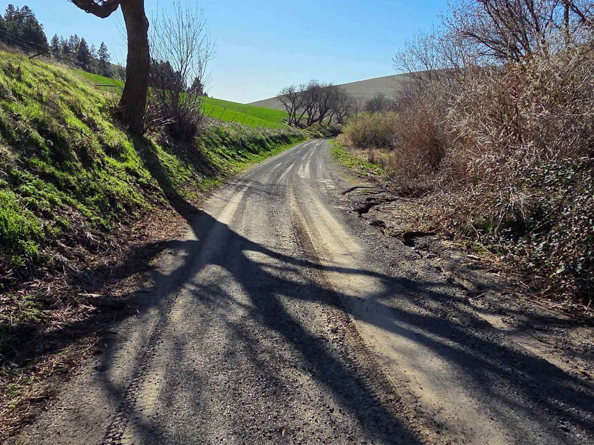 Davis Hollow Road photo 3