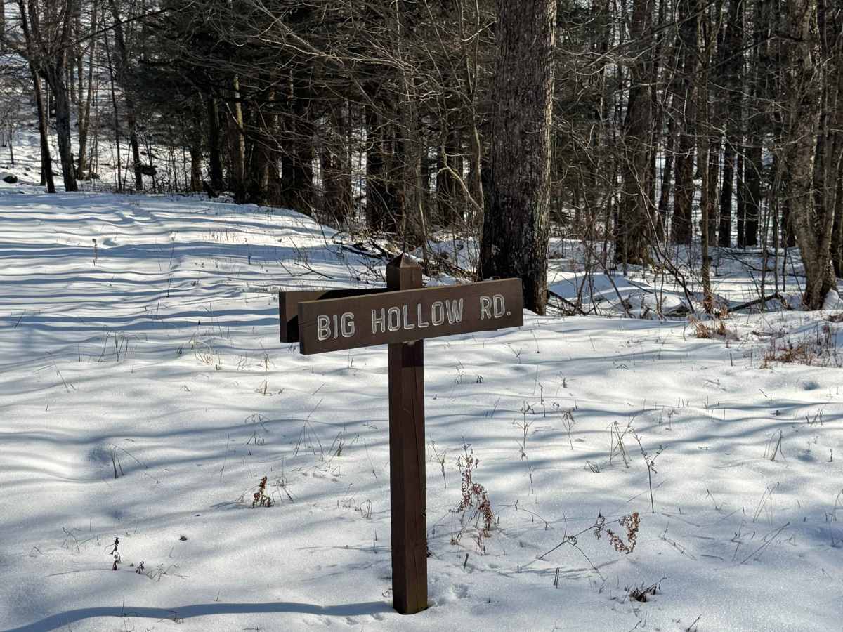 Big Hollow Road trail photo