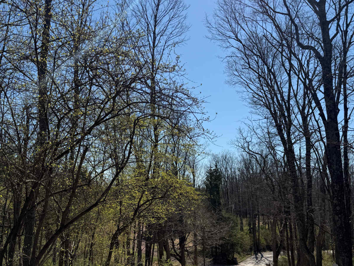 Tankhannen Road photo 4