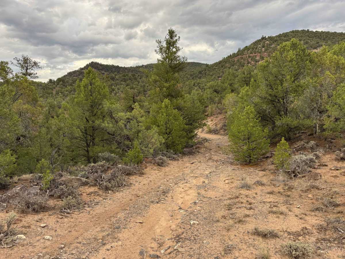 BLM 2722 photo 3