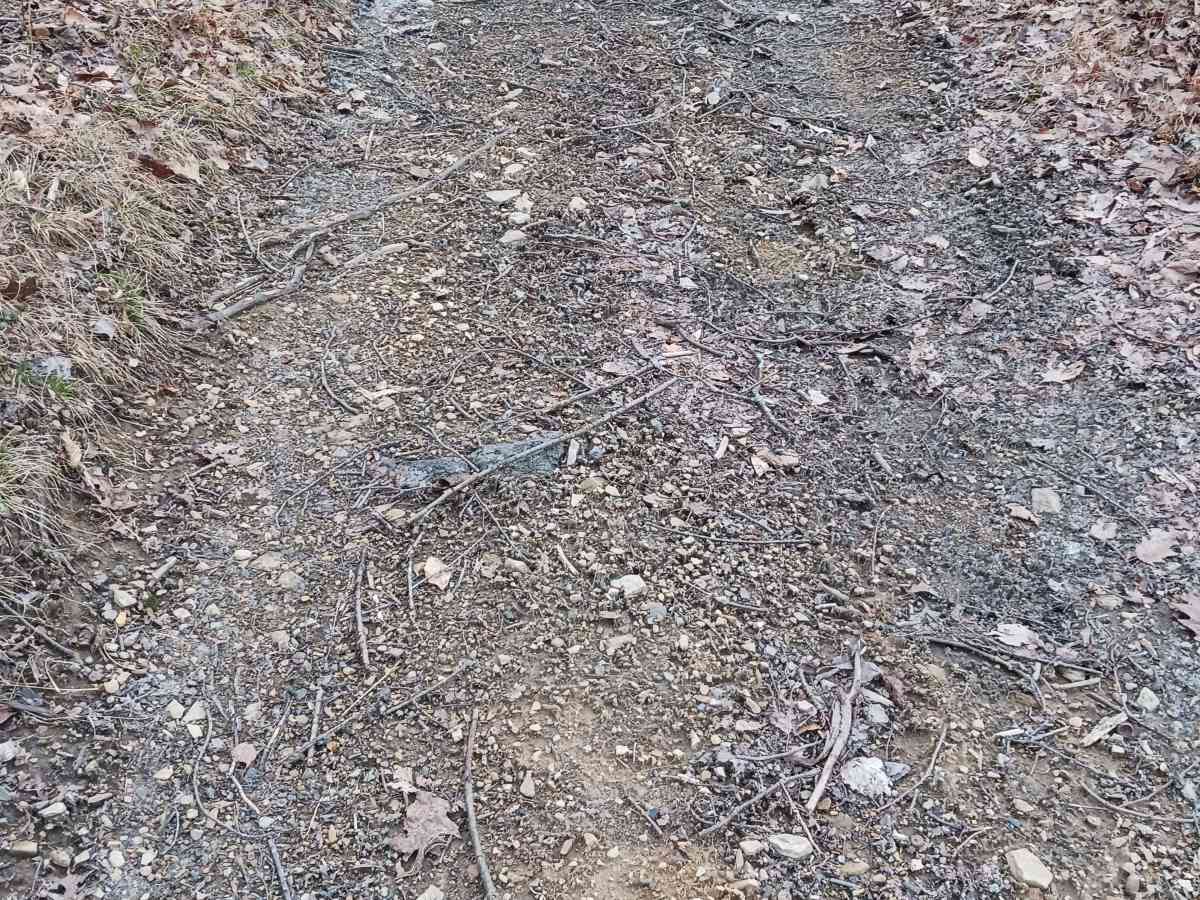 Trail 4A - Rock Run Recreation Area photo 4