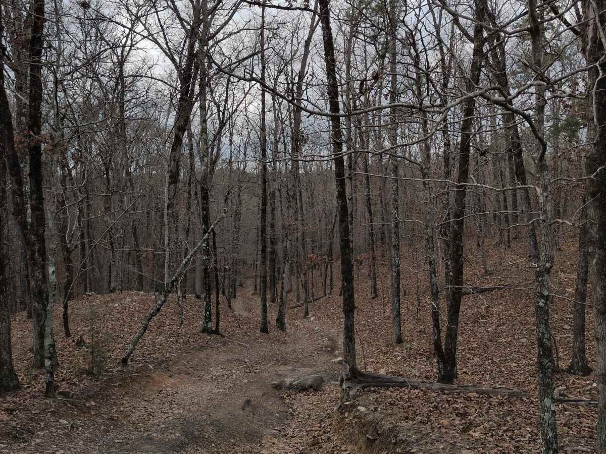 F48 Higher Ground trail photo