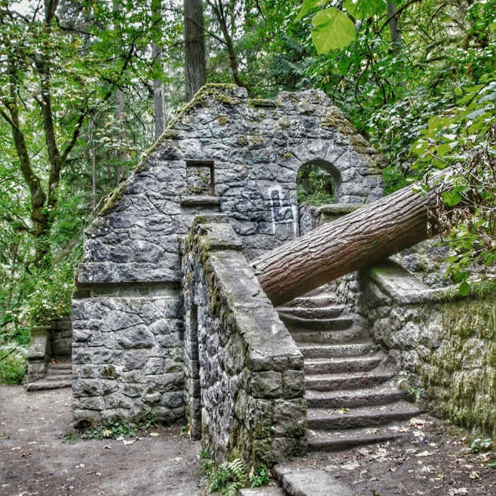Near Lower Macleay Trail