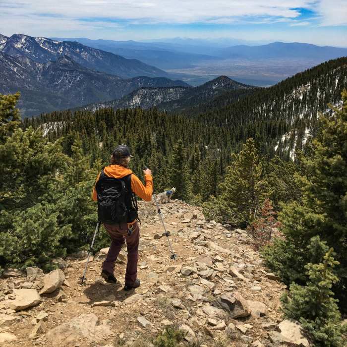 Near Yerba Canyon Trail #61