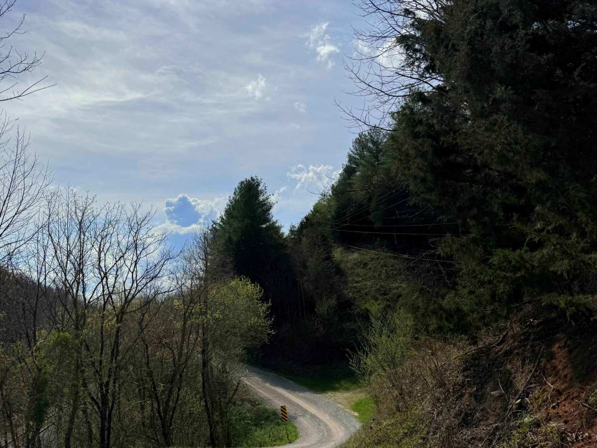Rollercoaster Road  photo 3